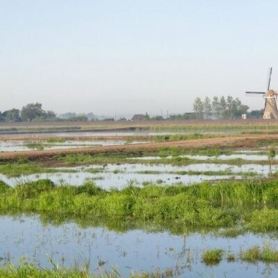  lezing/debat 
