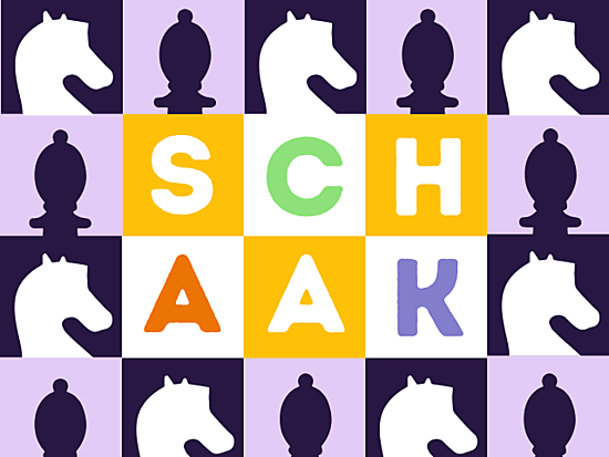  actief/sport, workshop, divers 
