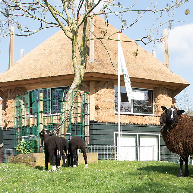 Kinderboerderij Klein Boveneind