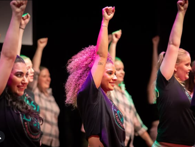 Dansstudio Krimpenerwaard